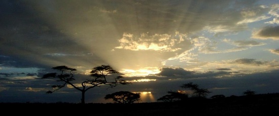 Serengeti Sunset Tanzania.jpg